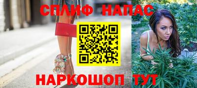 бошки Дубна
