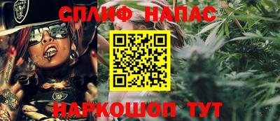 бошки Дубна
